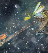 Когато изкуството среща науката