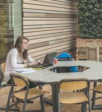 Зеленият университет