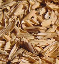 Неочакваното приложение на ориза