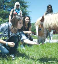 Наставникът също трябва да се обучава