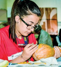 Бизнесът иска дълги стажове в туризма