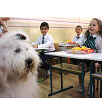 Бобтейлът Мон учи първолаци на азбуката