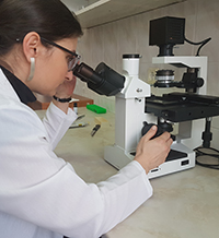 Идва ли ренесанс за научните изследвания