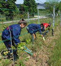 В Средище знаят какво правят