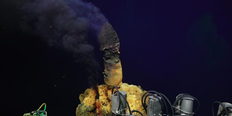 Живот на неочаквани места