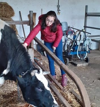 Накъде след професионалното