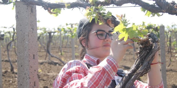 Кой е най-добрият млад фермер