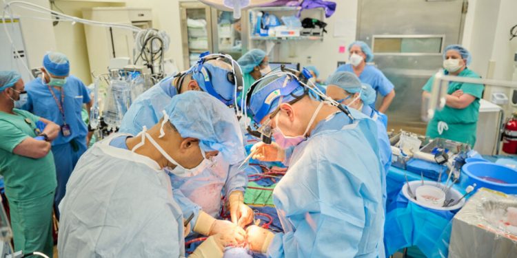 Успешна трансплантация на свински сърца