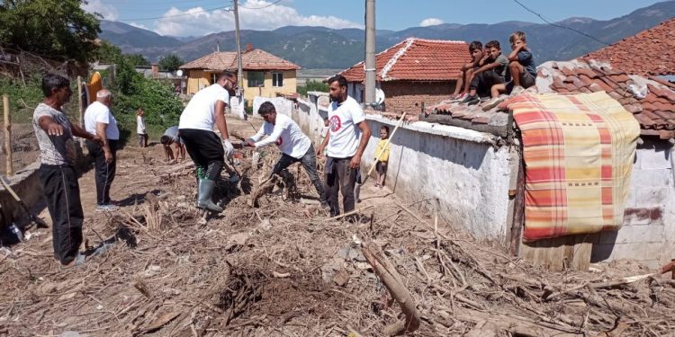 Доброволци на „Амалипе“ помагат на Карловско