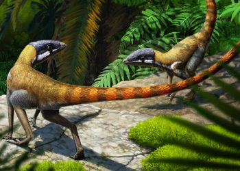 Предците на птерозаврите