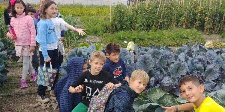 Уроци на открито през всички сезони