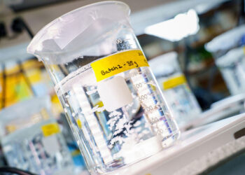 Шанс за лечение  след инфаркт