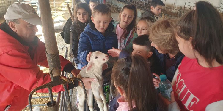 Срещи във фермата