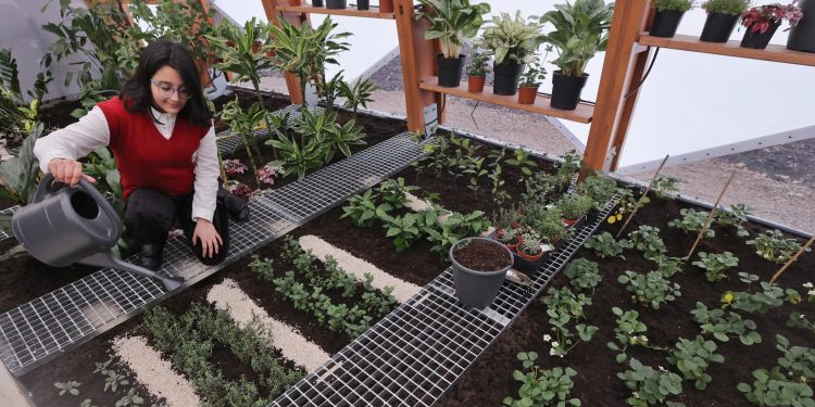 15. СУ „Адам Мицкевич“ в София откри учебна оранжерия